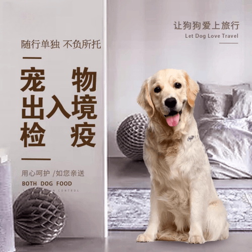 本溪市宠物托运到哥伦比亚猫狗宠物入境规定和