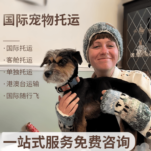 本溪市国际宠物托运到阿根廷宠物入境规定和要
