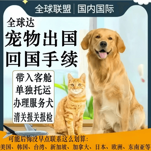 本溪市宠物托运到柬埔寨宠物入境规定和要求