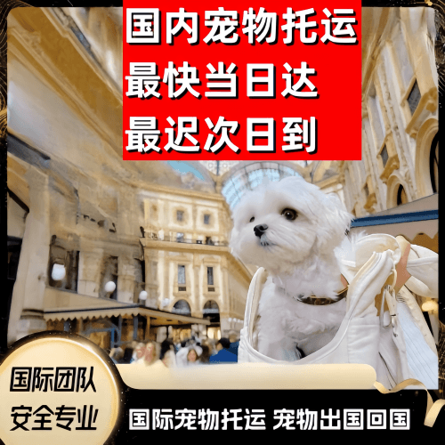 本溪市到澳大利亚（澳洲）宠物入境规定和要求