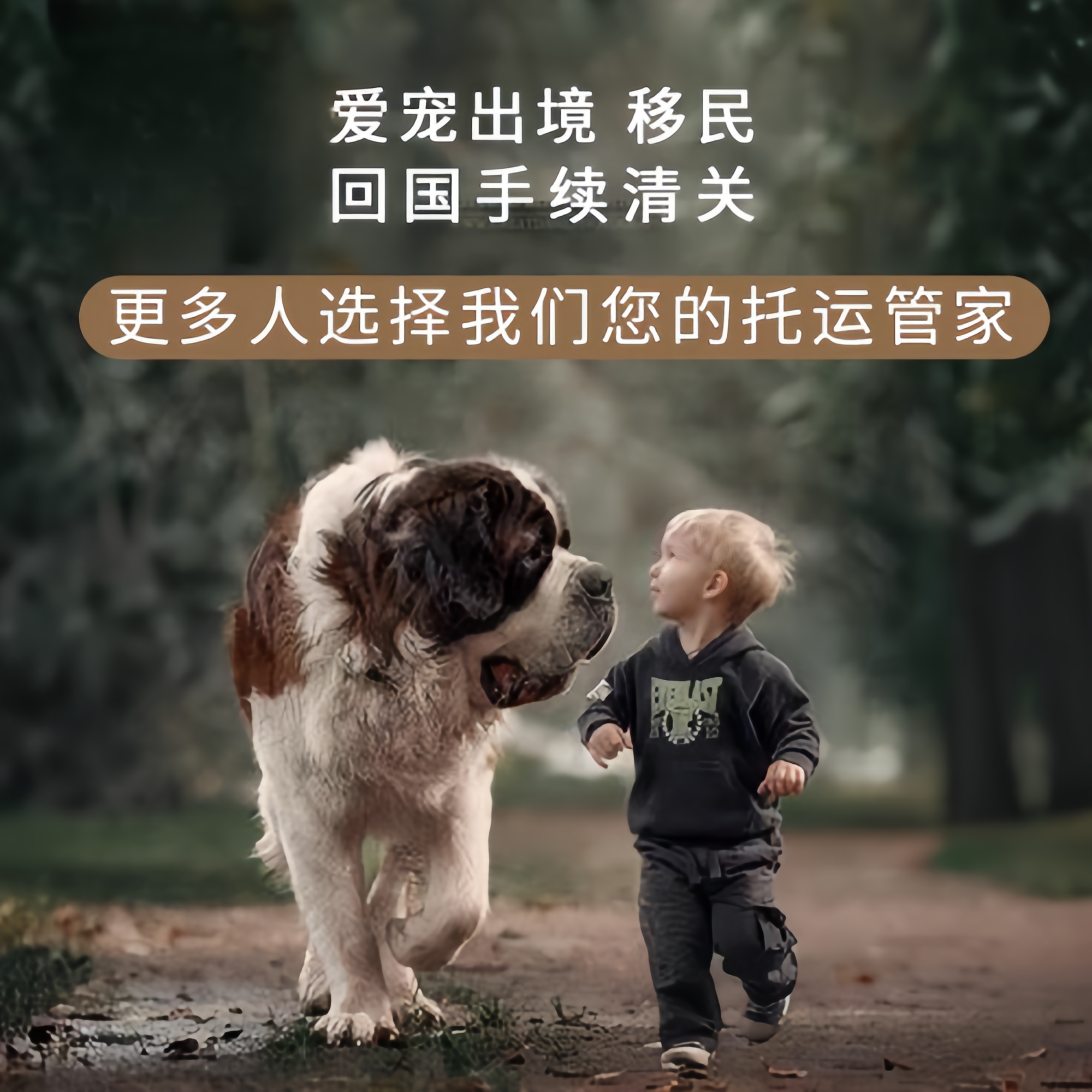 满财本溪市宠物全球达宠物托运在遵守入境目的地政策的条件