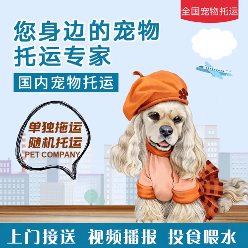 满财本溪市宠物全球达宠物托运作为专业的宠物运输代理机构